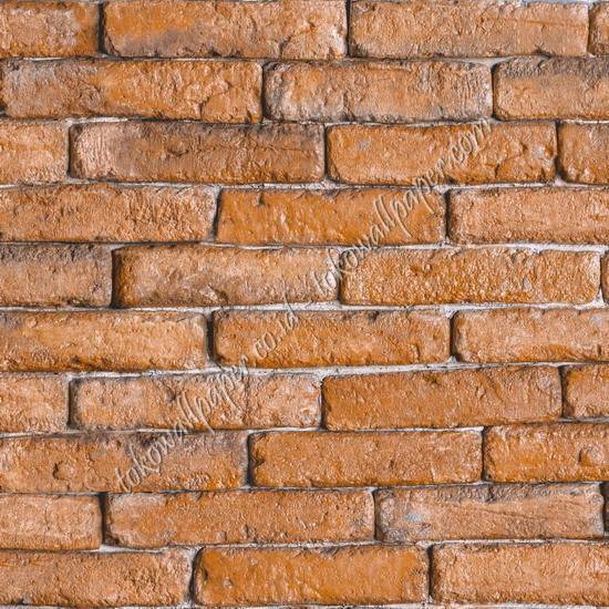 TERRA TRA667
Wallpaper